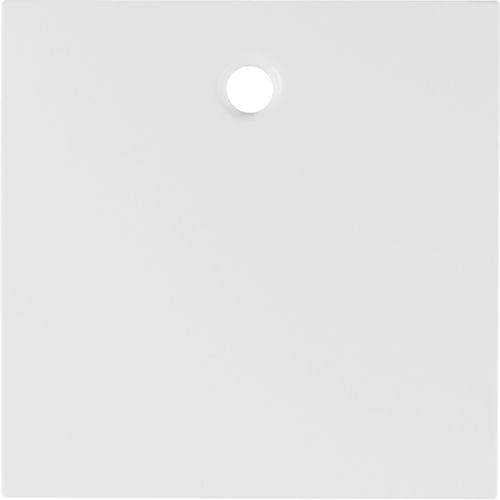 Berker 11468989 Zentralstück für Zugschalter und Zugtaster S.1/B.3/B.7 polarweiß, glänzend Mesch Shop Berker 11468989 Zentralstück für Zugschalter und Zugtaster S.1/B.3/B.7 polarweiß, glänzend Mesch Shop